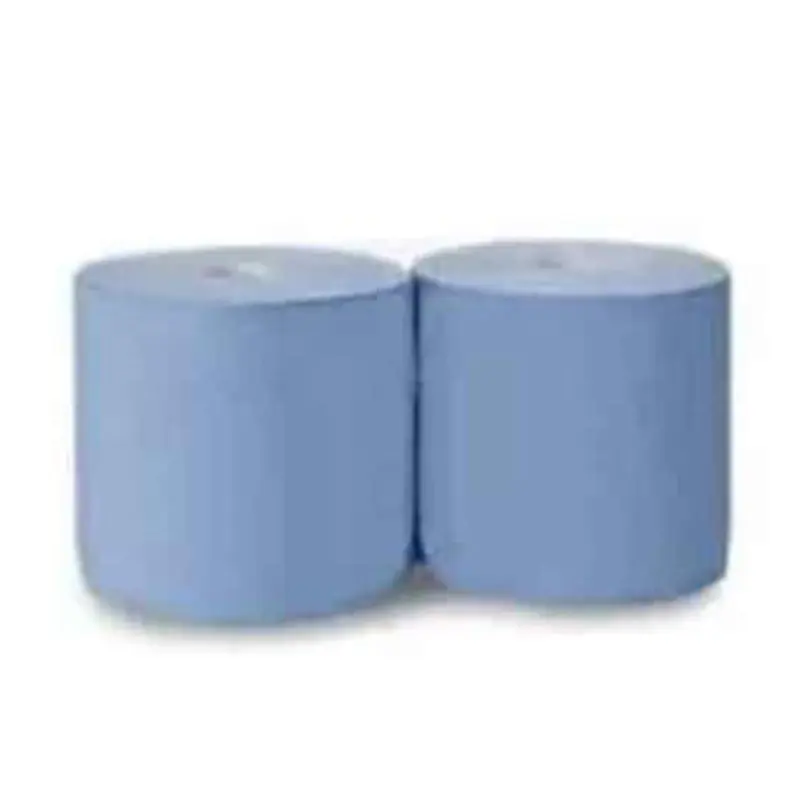 Online sale Conf. 2 pz. blue cleaning coil at low and affordable prices