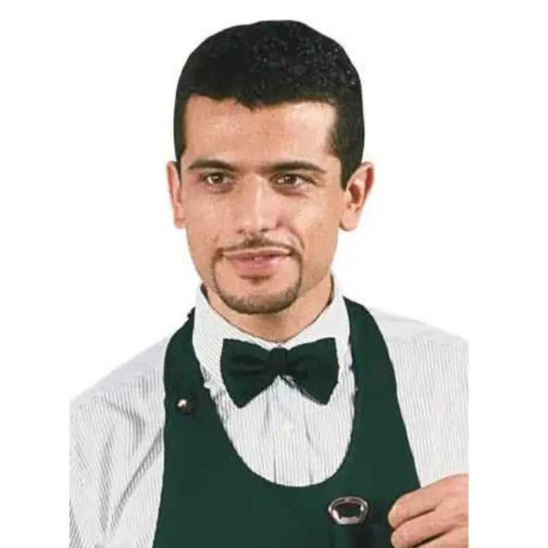 Offre Nœud papillon vert pour le travail  pas cher