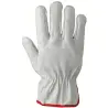 Offer Work glove bovine flower work at the lowest price