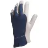 Offer Work glove in leather and canvas back at the lowest price